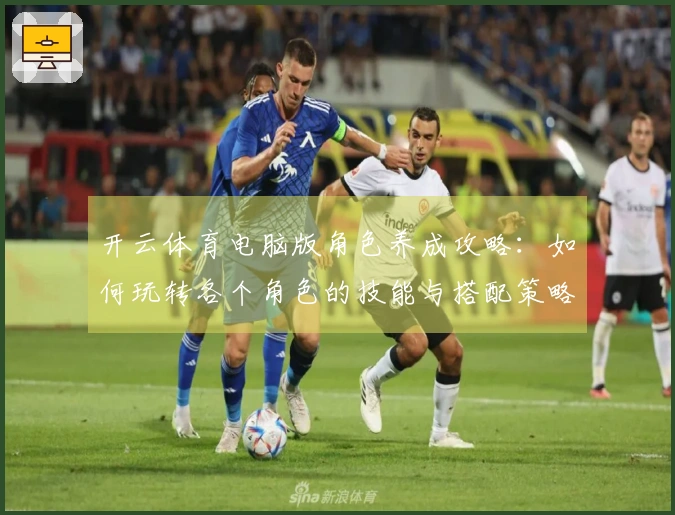 开云体育电脑版角色养成攻略：如何玩转各个角色的技能与搭配策略